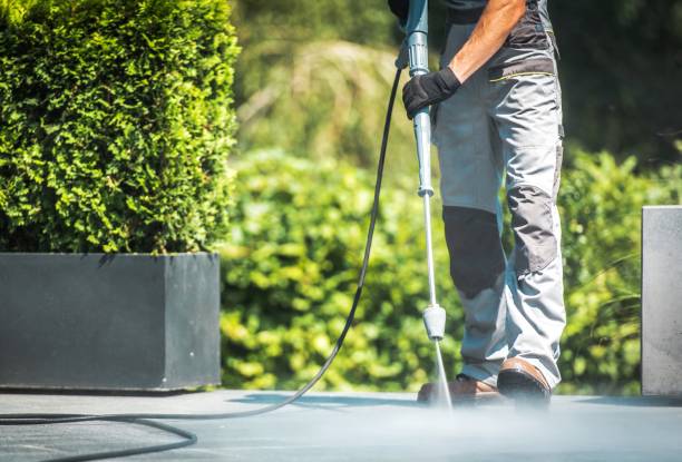 Best Fence Cleaning  in Hilton, NY