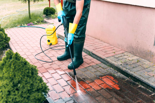 Best Gutter Cleaning  in Hilton, NY